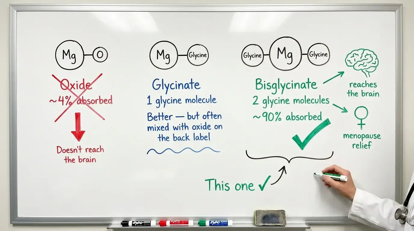 Whiteboard comparing magnesium oxide, glycinate and bisglycinate absorption